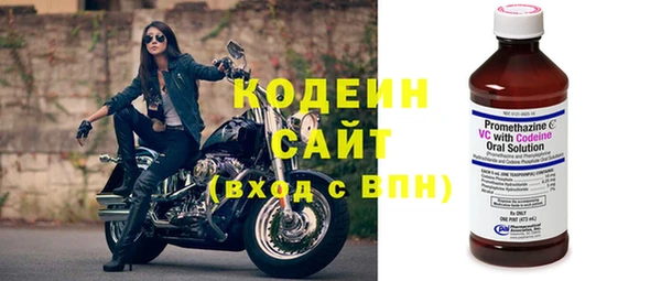 спиды Бородино