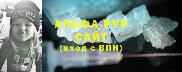 спиды Бородино
