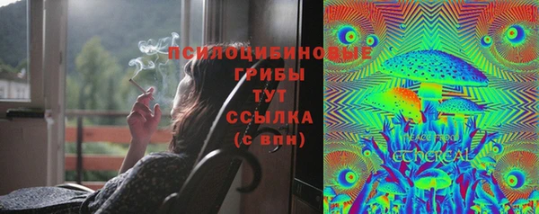 спиды Бородино