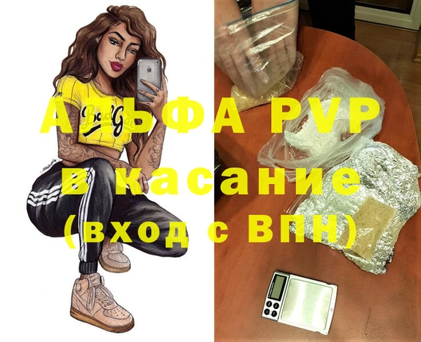 спиды Бородино